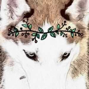 Meet your Posher, Yaumara